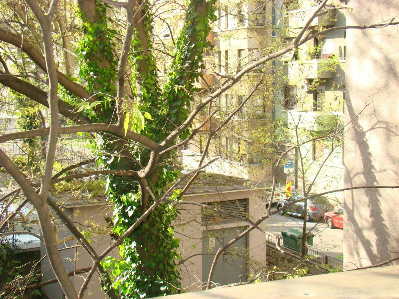 My Sun Lägenhet Rijeka Exteriör bild